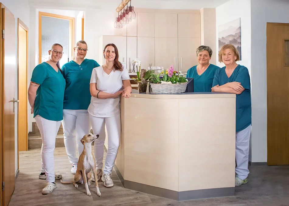 satrtseite satrtseite